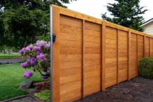 A horizontal cedar wood fence stands in a backyard next to a blooming purple rhododendron bush.