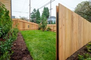 A newly installed wood fence bordering a residential backyard with a green lawn and small trees.