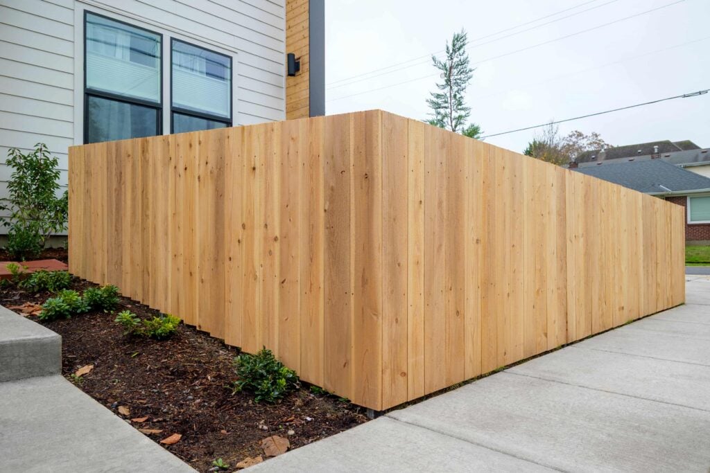 A modern, tall wooden privacy fence surrounds a garden bed with small green shrubs next to a house and concrete sidewalk.