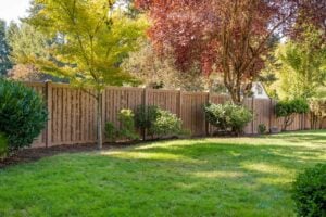 A brown wood fence lines the back of a green lawn with several small trees and shrubs planted along the base.
