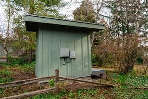 A small green utility shed with electrical panels stands near a wooden fence, surrounded by trees, bushes, and greenery in a garden-like setting.