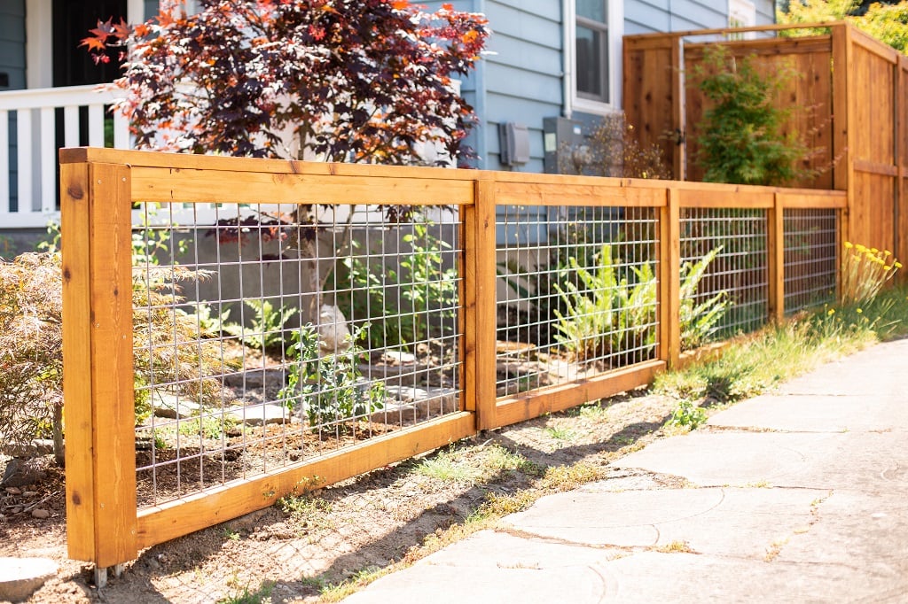 Wire shop backyard fence