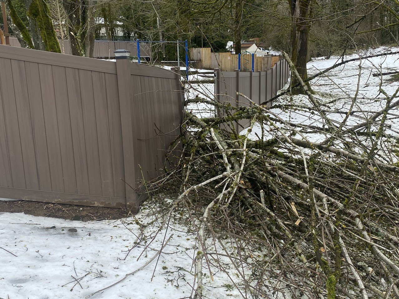 Fence with a tree that fell through it