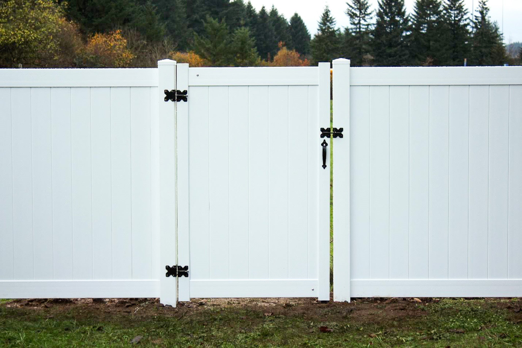 Picture of fence