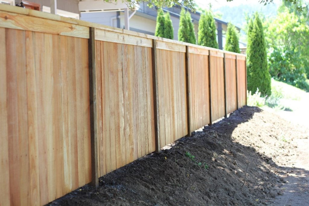 Cedar fence