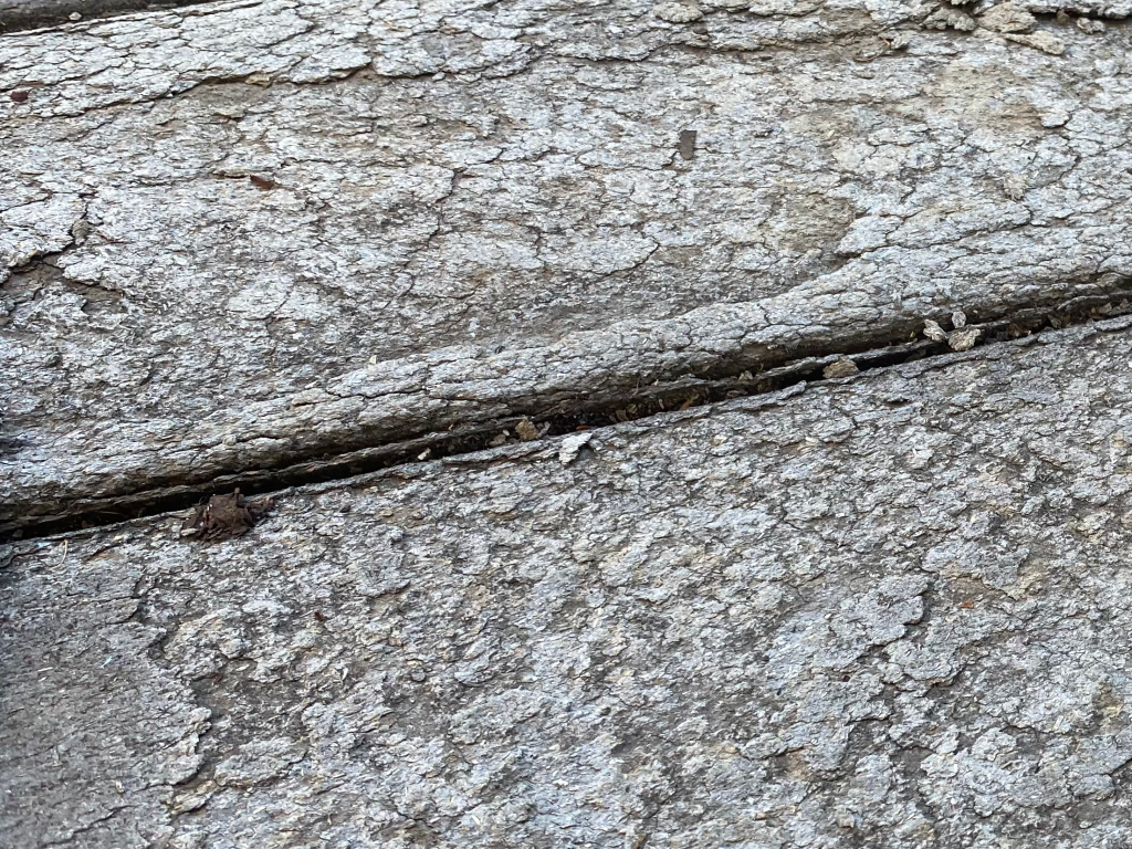 Close-up of weathered, cracked wooden boards with peeling gray paint and rough textures. The surface shows age and natural wear, with visible gaps between the boards.