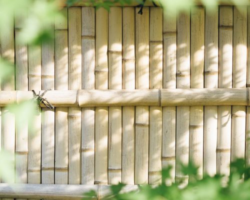Bamboo Fence