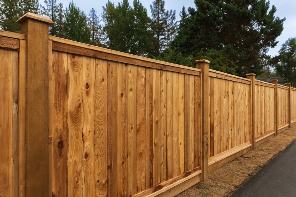 A tall wooden privacy fence lines the edge of a paved path, with trees and greenery visible in the background.